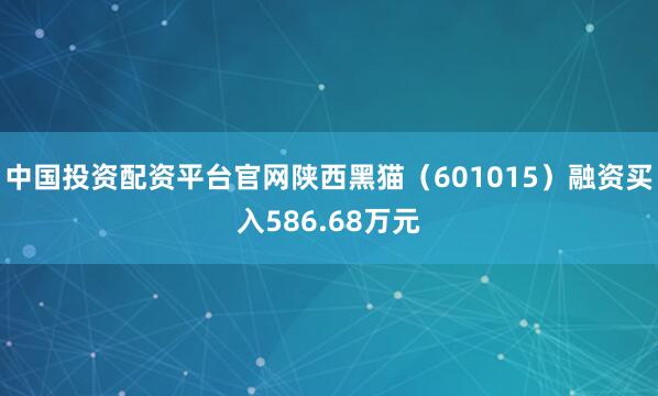 中国投资配资平台官网陕西黑猫（601015）融资买入586.68万元